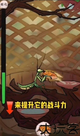 极品螳螂