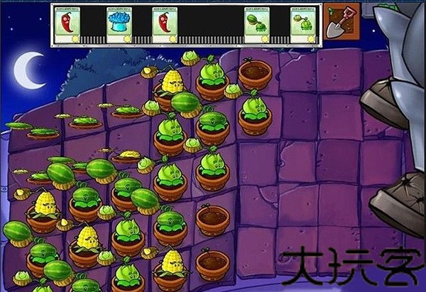 植物大战僵尸2010版