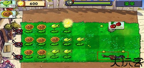 植物大战僵尸高清版