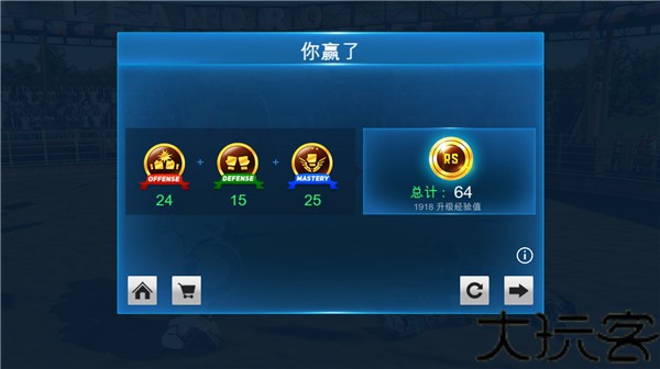 铁甲钢拳冠军赛