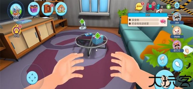 浣熊模拟器