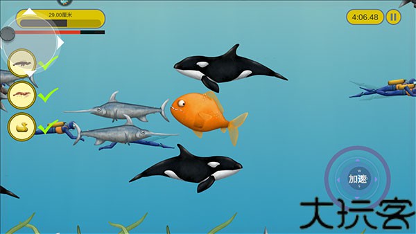 美味深蓝