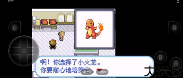 口袋妖怪叶绿中文版