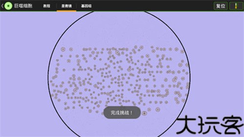 细胞实验室全解锁版