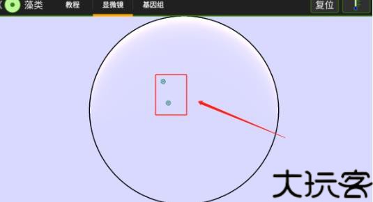 细胞实验室全解锁版