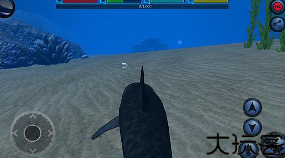 旋齿鲨模拟器