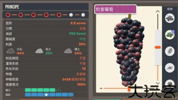 酿酒大师