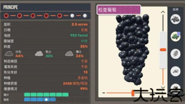 酿酒大师