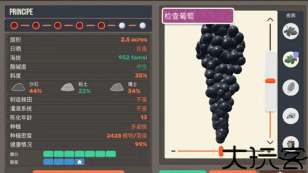 酿酒大师