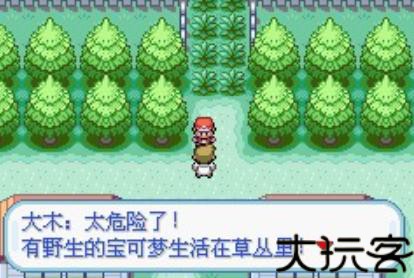 口袋妖怪火红金手指版