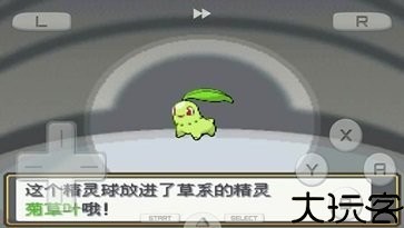 口袋妖怪心金魂银