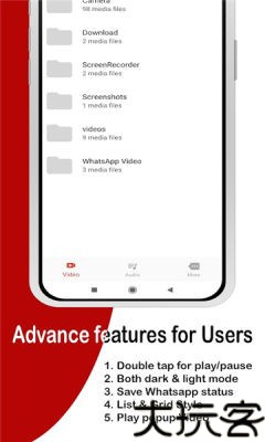 flashplayer11