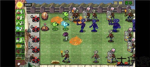 植物大战僵尸像素版