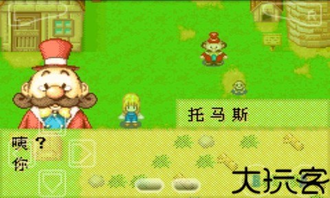 牧场物语女孩版