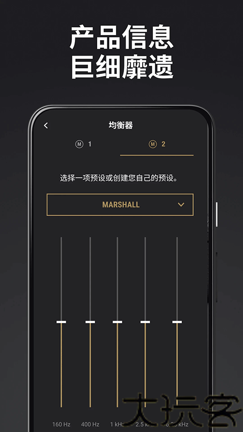 Marshall Bluetooth