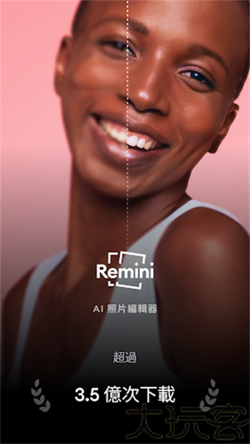 remini油画