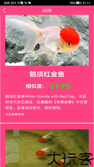 拍照识花神器