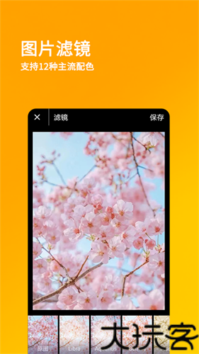 刷圈兔