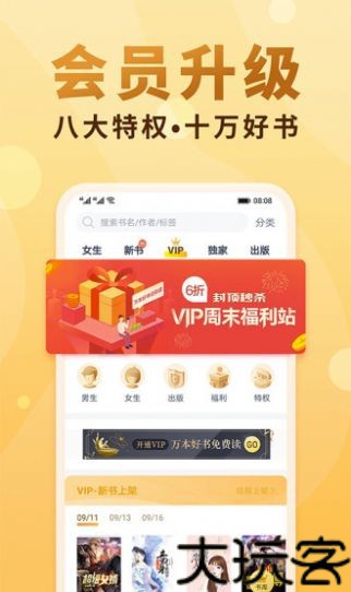 龙马文化