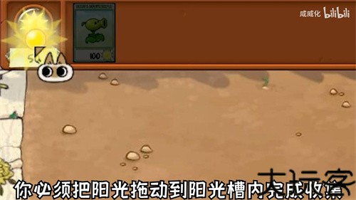 植物大战僵尸繁琐版