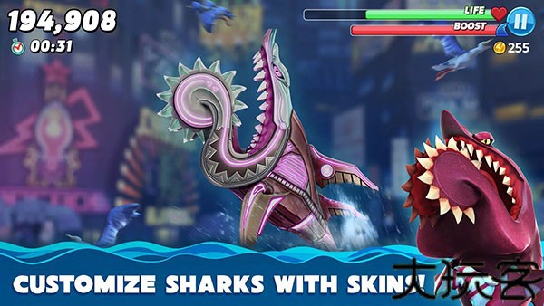 hungryshark