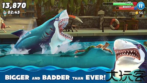 hungryshark