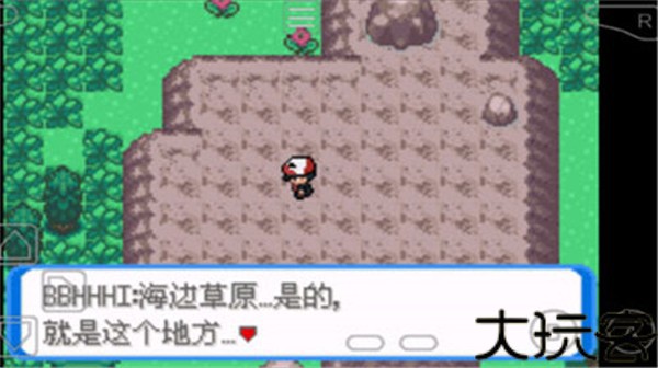 口袋妖怪圣灰汉化版