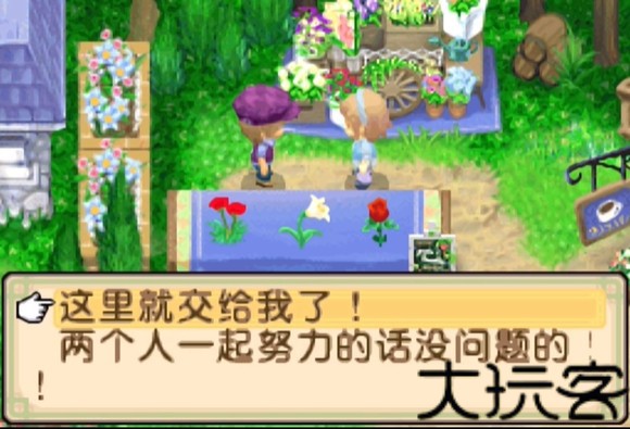 牧场物语双子村