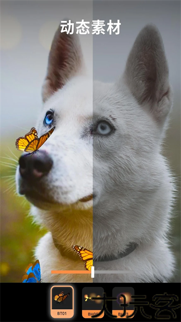 Pixaloop安卓版