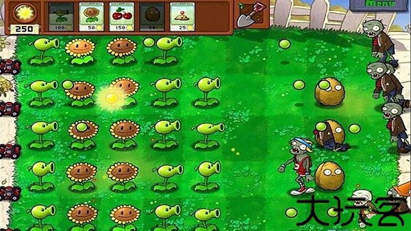 植物大战僵尸2010版