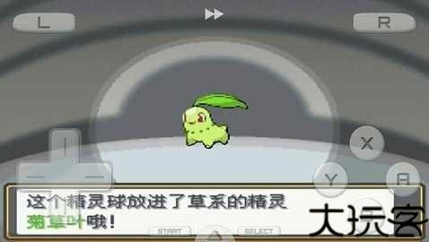 口袋妖怪起源心金
