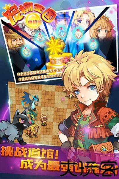 宠物王国单机版