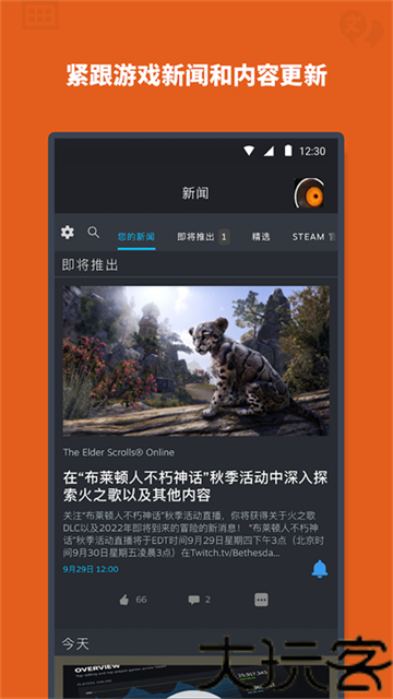 蒸汽平台