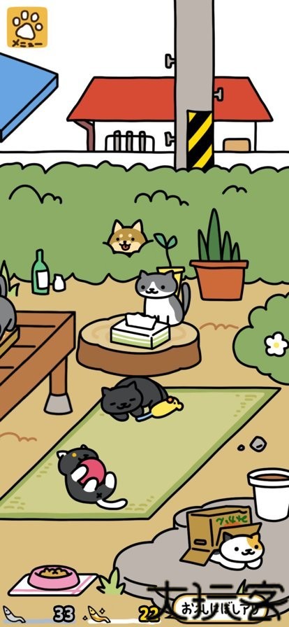 猫咪后院2