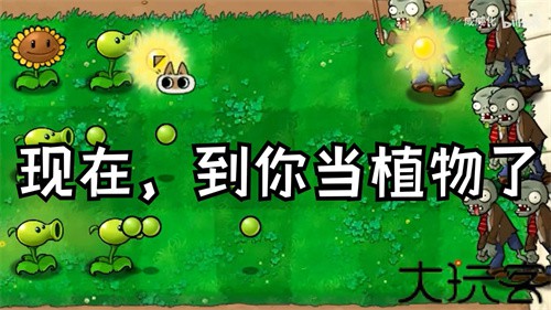植物大战僵尸繁琐版