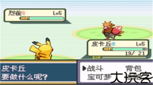 口袋妖怪圣灰汉化版