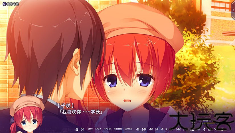 RiddleJoker冷狐版