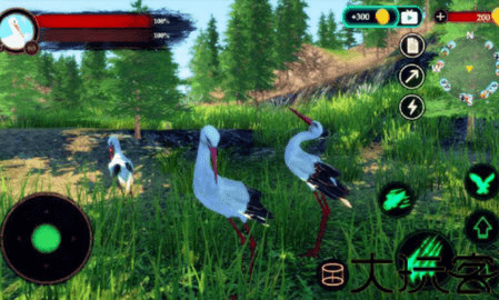 丹顶鹤模拟器