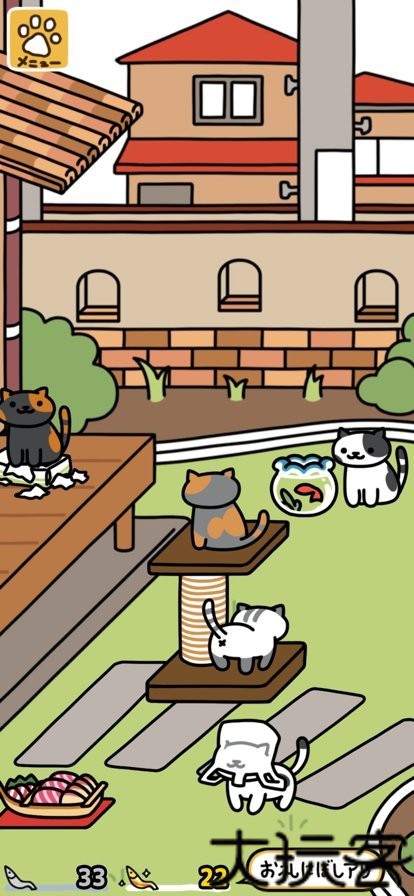 猫咪后院2