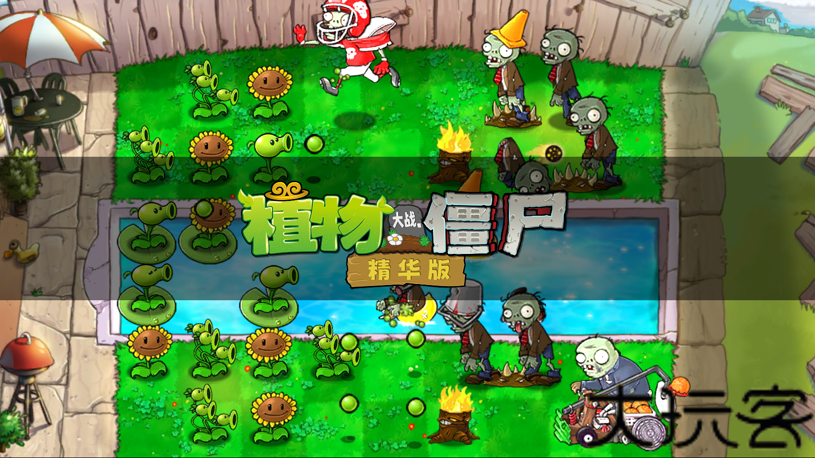 植物大战僵尸精华版