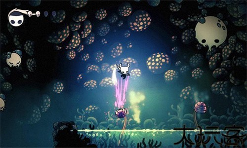 hollow knight