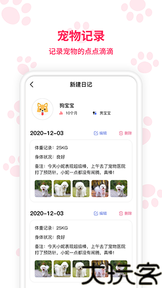 动物翻译器