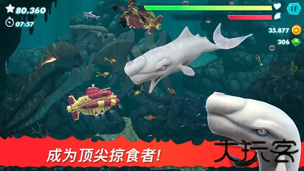 饥饿鲨进化