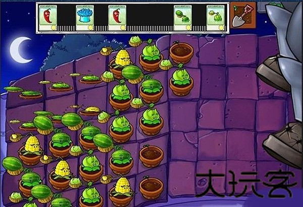植物大战僵尸魔幻版