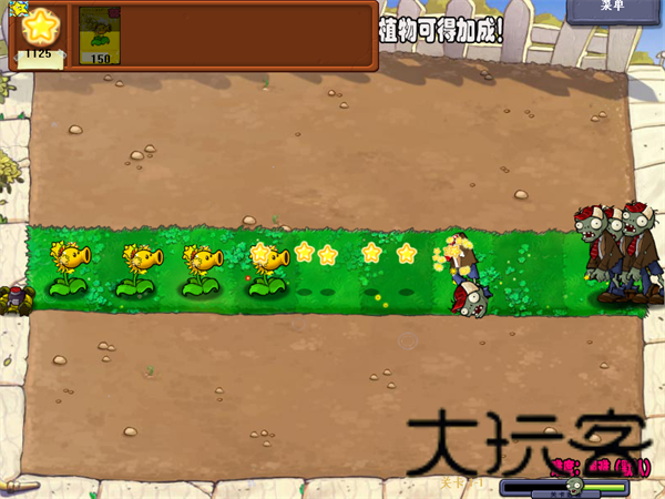 植物大战僵尸杨桃版