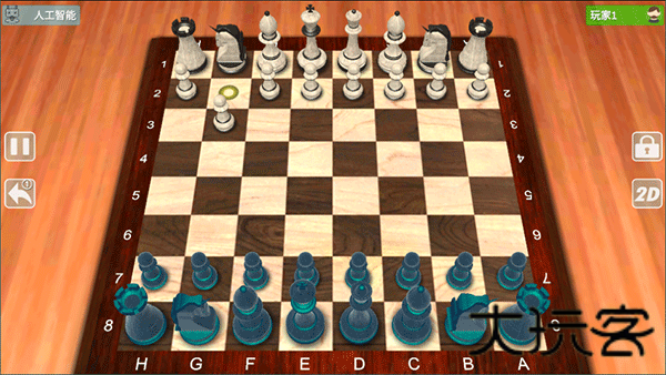 国际象棋大师