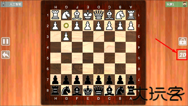 国际象棋大师