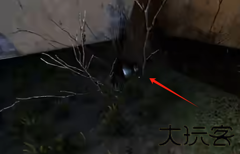 卡马拉手机版