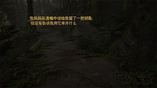 艾迪芬奇的记忆
