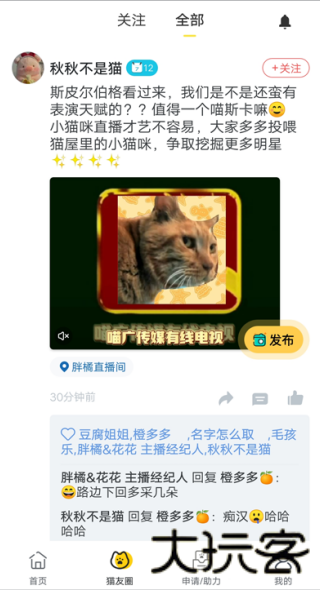 哈啰街猫